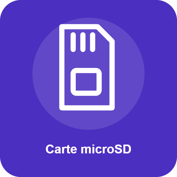 Icône d'illustration : Carte microSD